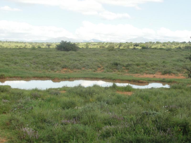 0 Bedroom Property for Sale in Kirkwood Eastern Cape